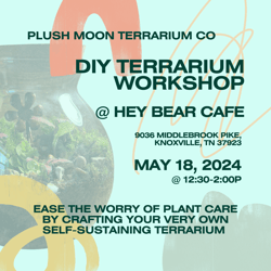 Hey Bear Cafe Terrarium Workshop